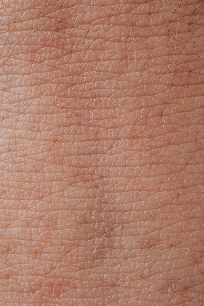 close up view of human skin